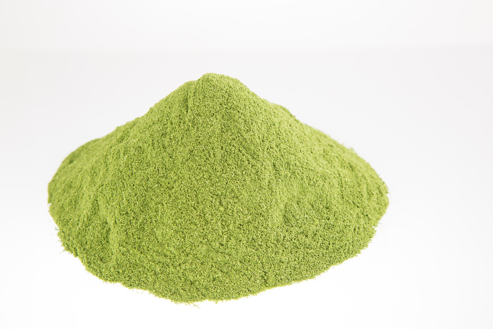 Moringa powder - Moringa oleifera